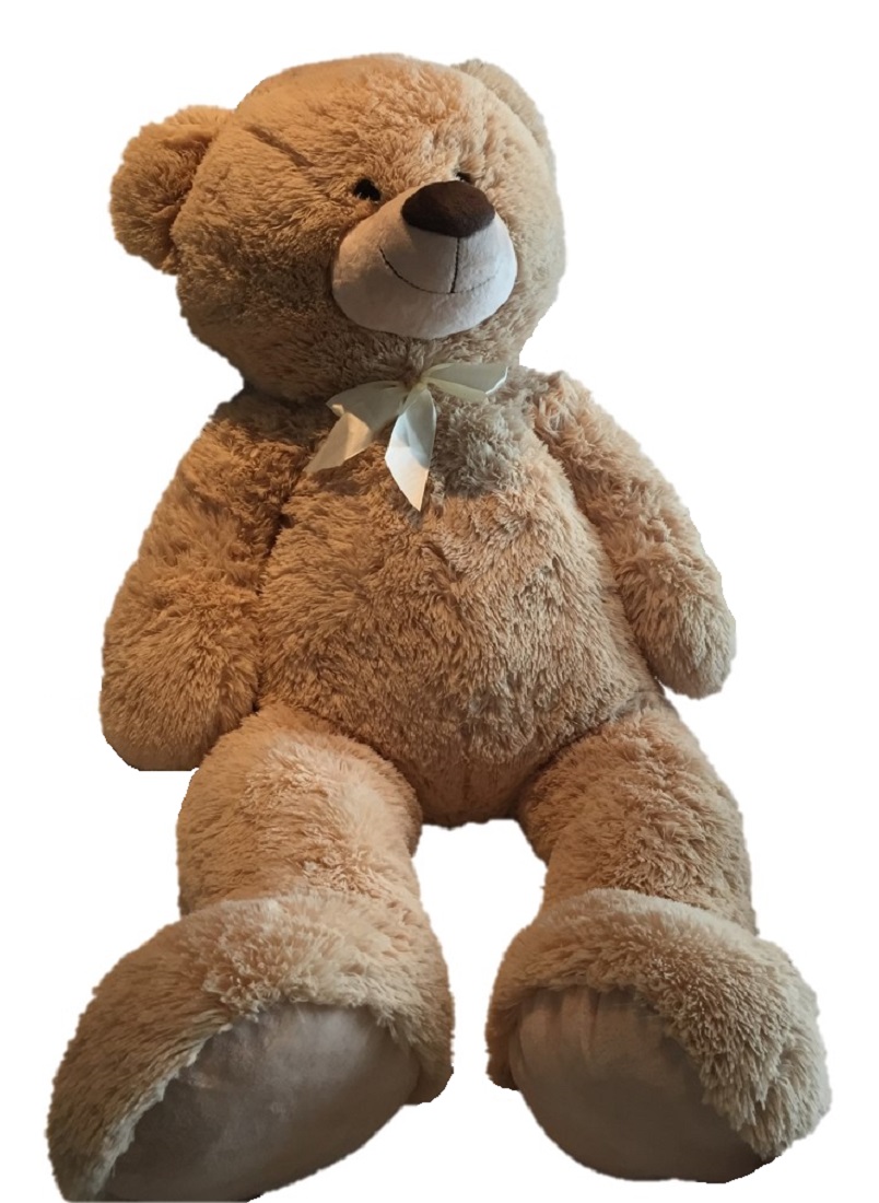 XXL Teddy Bär 100 cm mit Herzkissen Liebster Schatz 10 x 13 cm Kuscheltier Set 